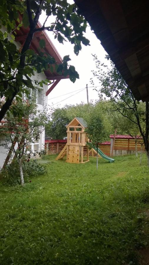 Pensiunea Valcinet Borşa Exterior foto