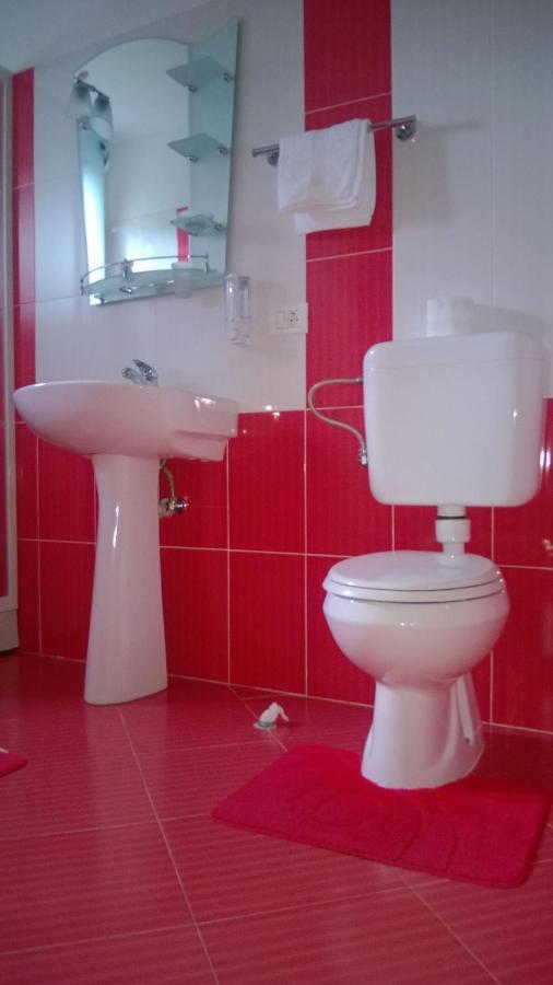 Pensiunea Valcinet Borşa Cameră foto