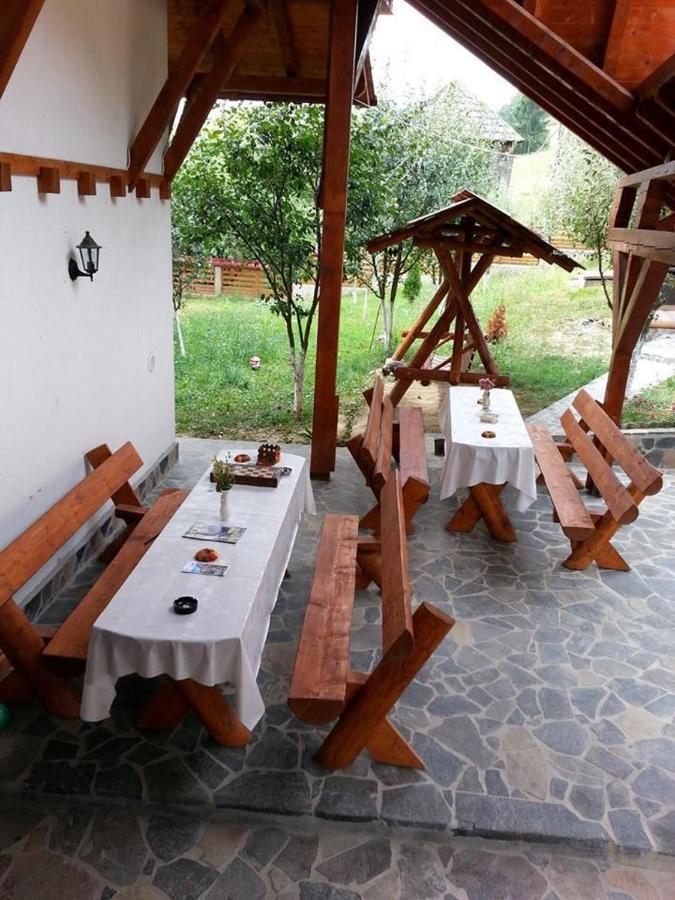 Pensiunea Valcinet Borşa Exterior foto