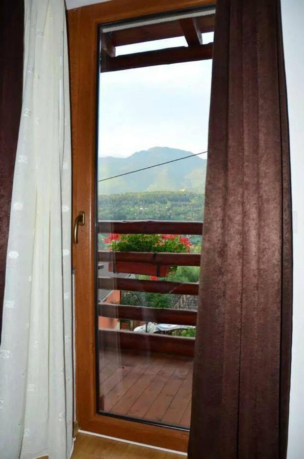 Pensiunea Valcinet Borşa Exterior foto