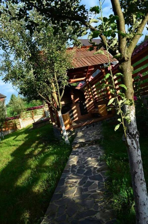 Pensiunea Valcinet Borşa Exterior foto