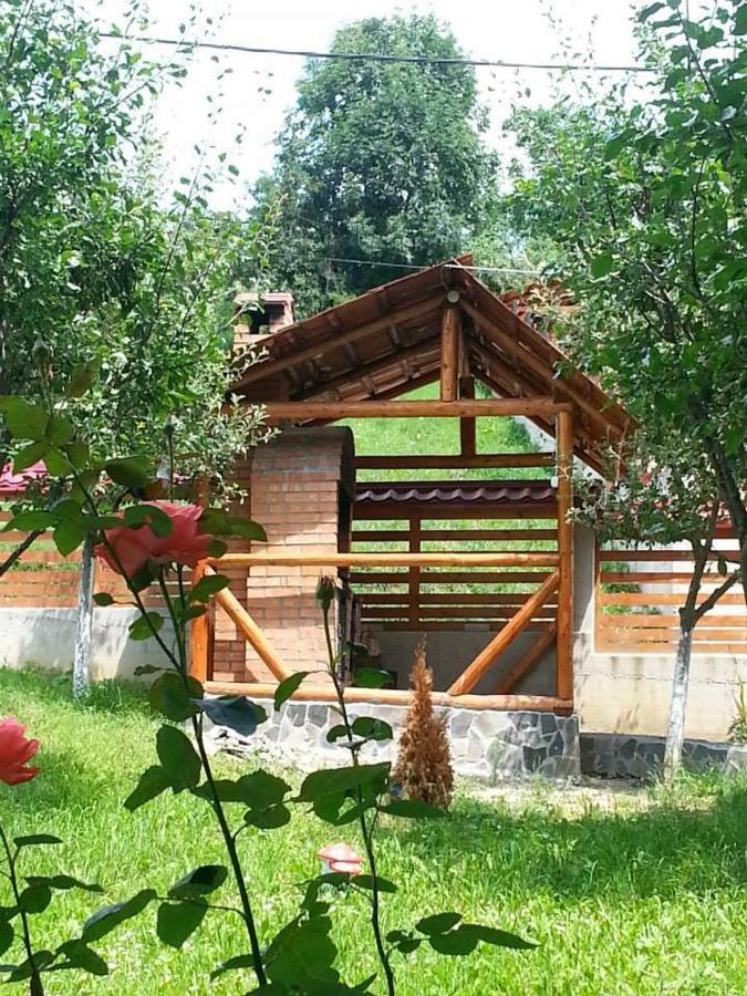Pensiunea Valcinet Borşa Exterior foto