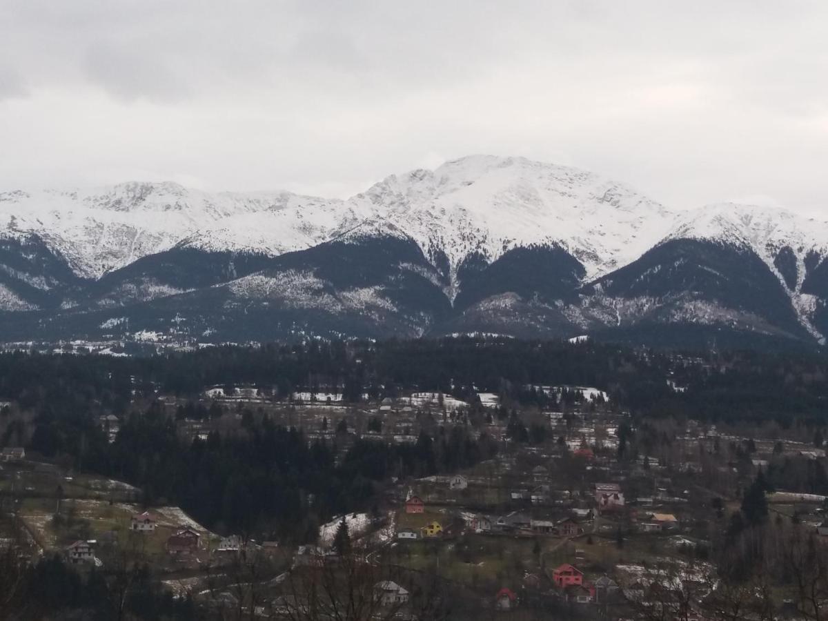 Pensiunea Valcinet Borşa Exterior foto