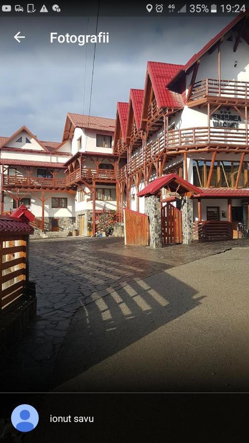 Pensiunea Valcinet Borşa Exterior foto